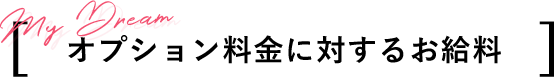 オプション料金に対するお給料
